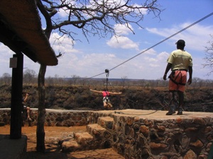 highwire.jpg